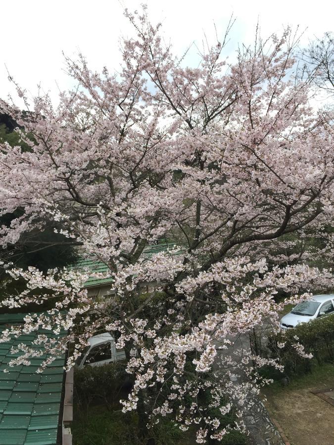 Yamaguchi Koukasha Hotell Eksteriør bilde